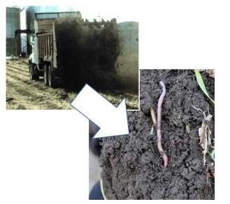 How Manure Impacts Soil Aggregation